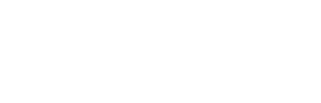 PMI Innovativa